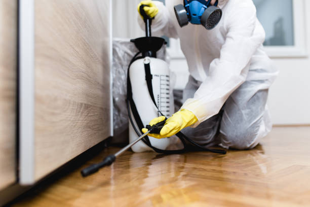 Best Pest Control Near Me in Rogers City, MI