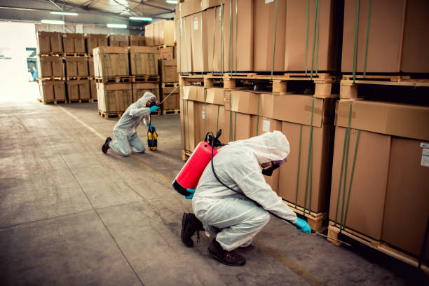 Best Local Pest Control Services  in Rogers City, MI