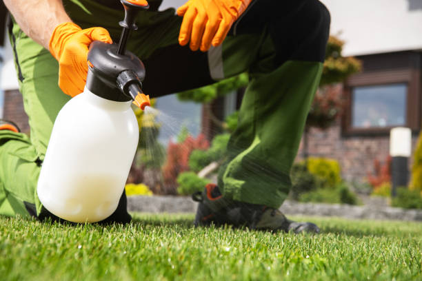 Best Bed Bug Extermination  in Rogers City, MI