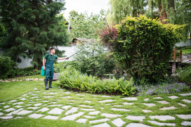 Best Exterminator Services  in Rogers City, MI