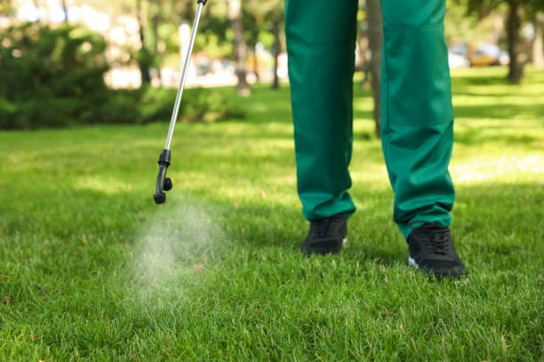 Pest Prevention Services in Rogers City, MI