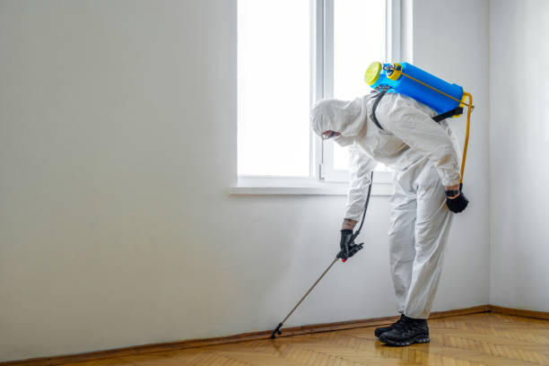 Best Pest Prevention Services  in Rogers City, MI