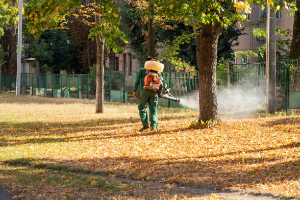 Best Pest Inspection Near Me  in Rogers City, MI