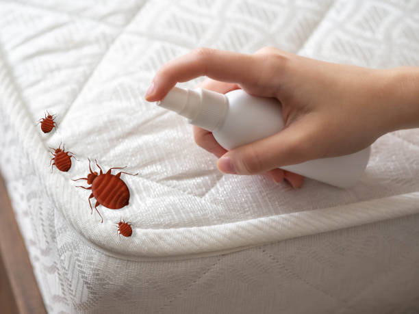 Best Mosquito Control Services  in Rogers City, MI