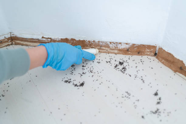 Pest Prevention Services in Rogers City, MI