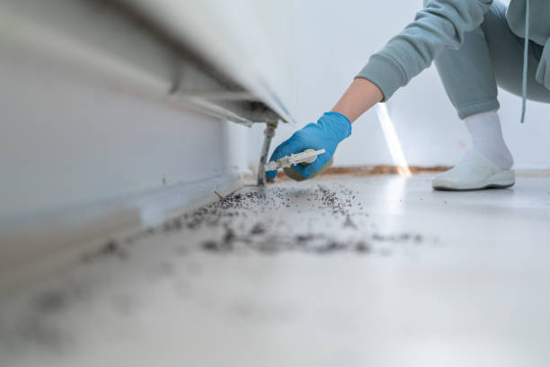 Best Pest Removal Services  in Rogers City, MI